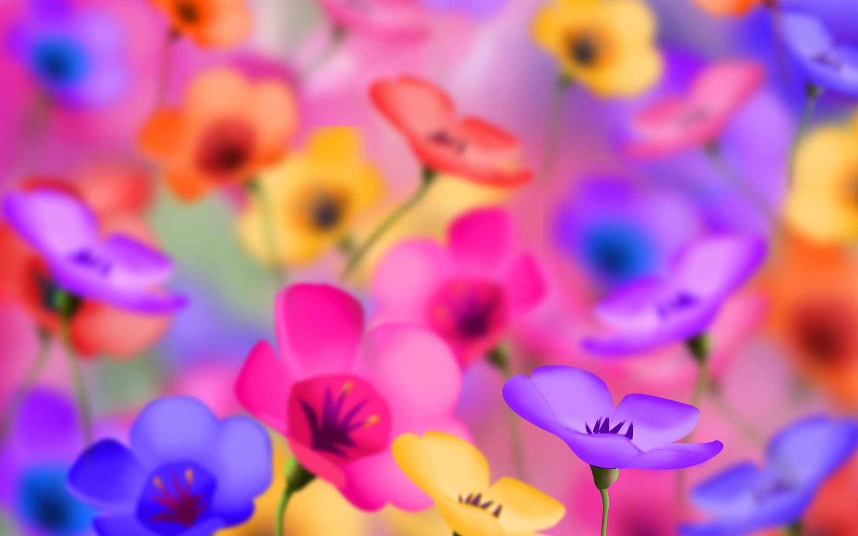 Kolorowe kwiaty Wallpaper