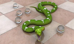 Wąż tapeta 11