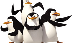 Tapeta Pingwiny z Madagaskaru 8