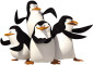 Tapeta Pingwiny z Madagaskaru 8