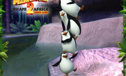 Pingwiny z Madagaskaru 21