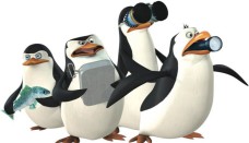 Pingwiny z Madagaskaru 7