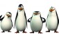 Tapeta Pingwiny z Madagaskaru 20