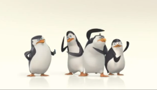 Tapeta Pingwiny z Madagaskaru 32