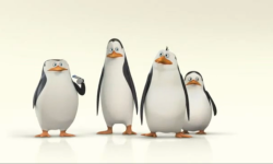 Tapeta Pingwiny z Madagaskaru 11