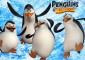 Tapeta Pingwiny z Madagaskaru 25