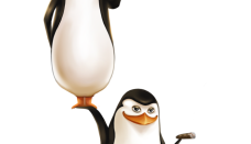 Tapeta Pingwiny z Madagaskaru 17
