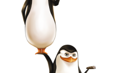 Tapeta Pingwiny z Madagaskaru 17