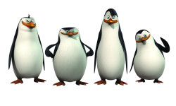 Tapeta Pingwiny z Madagaskaru 2