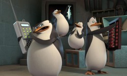Tapeta Pingwiny z Madagaskaru 6