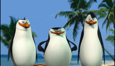 Pingwiny z Madagaskaru 13